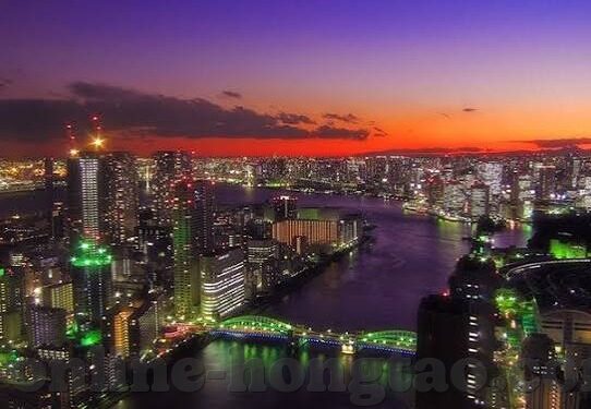 1024成人精品视频-探索数字世界的边界，1024与成人内容之辨