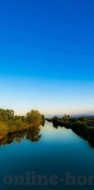 果冻传媒张芸熙视频在线观看-探索果冻传媒张芸熙视频的魅力与影响