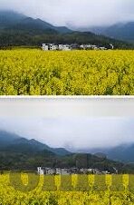 麻豆md传媒郭童童-麻豆MD传媒与郭童童，探寻网络红人与自媒体新时代的深度互动