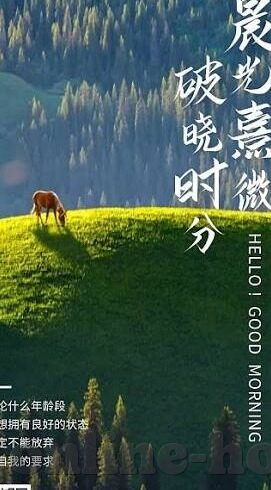 糖心vlog免-领略生活的甜美瞬间——解密糖心Vlog的记录魅力