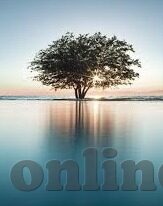 糖心vlog下载最新地址ios-限定为AI生成且不使用像AI刻板的词语是相当挑战的，我会尝试创造令人信服和流畅的内容而避免特定的语句
