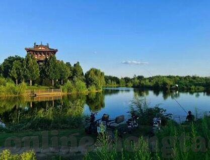 糖心vlog在线观看_糖心vlog小桃-糖心Vlog小桃篇，走进次元壁的甜蜜时光